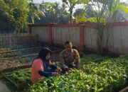 Dusun Pemangket Jadi Contoh Ketahanan Pangan Desa di Lombok Barat