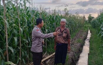 Sinergi Polisi dan Petani di Desa Babussalam untuk Wujudkan Ketahanan Pangan