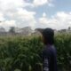 Sinergi Polri dan Petani Labuapi Perkuat Program Swasembada Pangan Desa