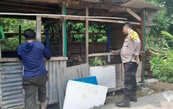 Sinergi Polri dan Warga Senggigi, Tanam Sayuran di Lahan Kosong untuk Perkuat Ekonomi Keluarga