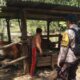 Ketahanan Pangan Mandiri, Warga Batulayar Barat Diajak Tanam Sayuran di Pekarangan