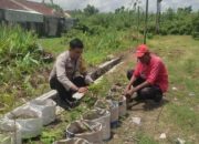 Sinergi Polsek Labuapi dan Warga Mapak Reong Dorong Pemanfaatan Pekarangan Produktif