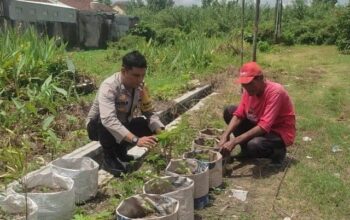 Sinergi Polsek Labuapi dan Warga Mapak Reong Dorong Pemanfaatan Pekarangan Produktif