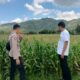 Pendampingan Petani Jagung oleh Polsek Kuripan, Dorong Ketahanan Pangan Lombok Barat