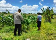 Strategi Polsek Labuapi Dukung Pangan: Jual Jagung ke Bulog & Tanam Pekarangan
